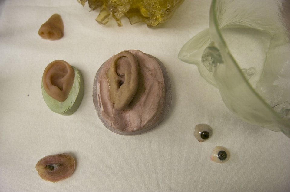 Wounded warrior receives new ears