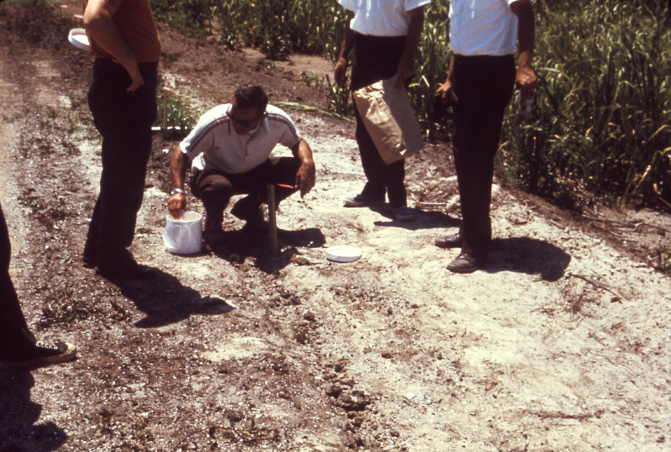 This 1981 photograph depicted a number of arboviral field technicians as they prepared collected mosquito larvae for shipping to a laborator