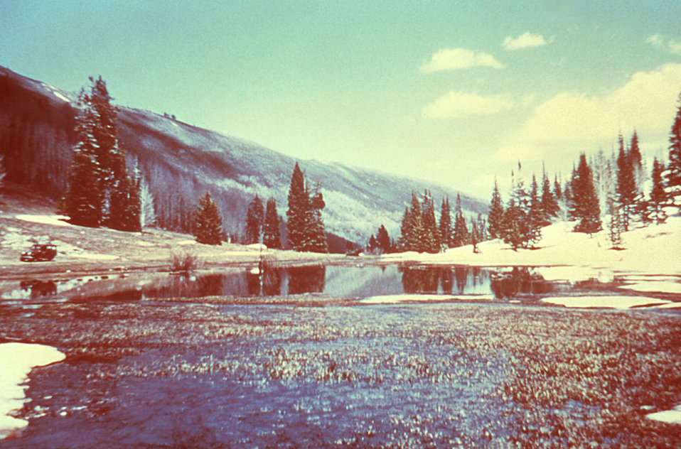 This 1981 photograph depicted a snow melt region where collected water was being investigated for the presence of adult and larval Aedes sp.