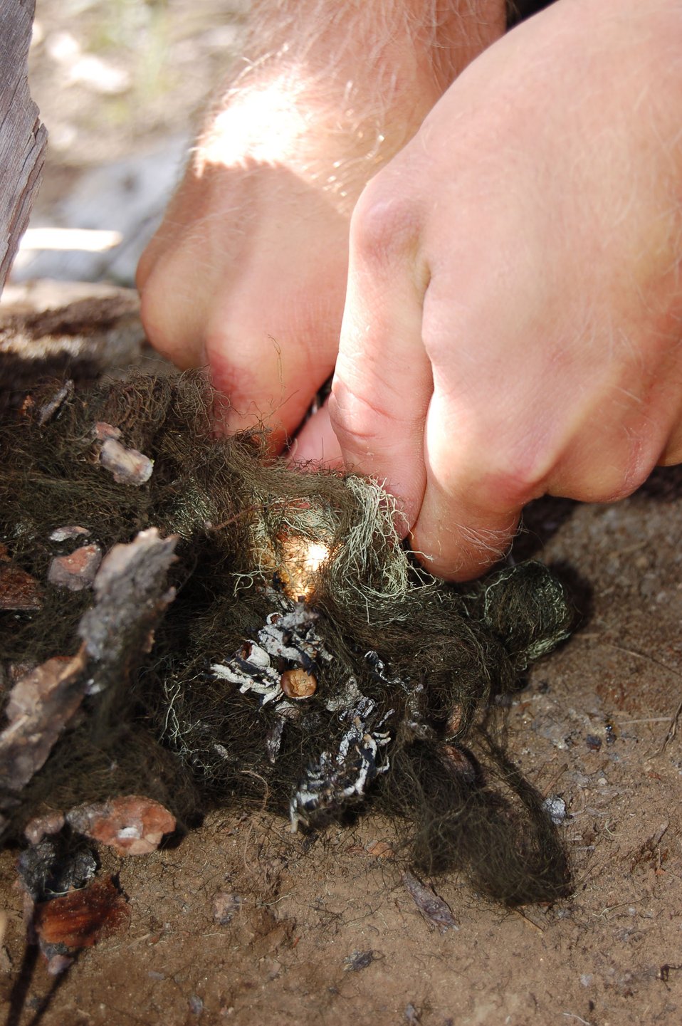 Air Force 'Guardian Angels' put to test at survival competition