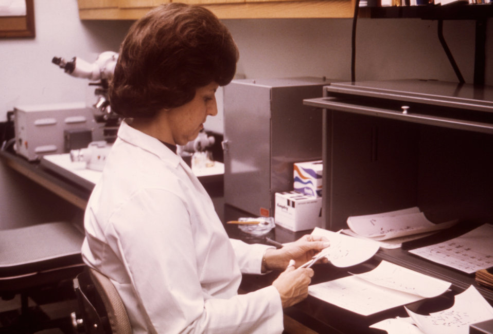 This lab technician is shown cutting apart the karyotype profiles derived from amniotic fluid cell culture.