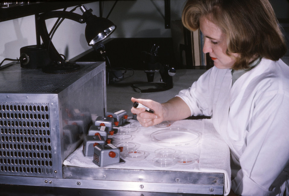 A CDC laboratorian is shown here working with mosquito filled tubes that were used in a virus isolation study.