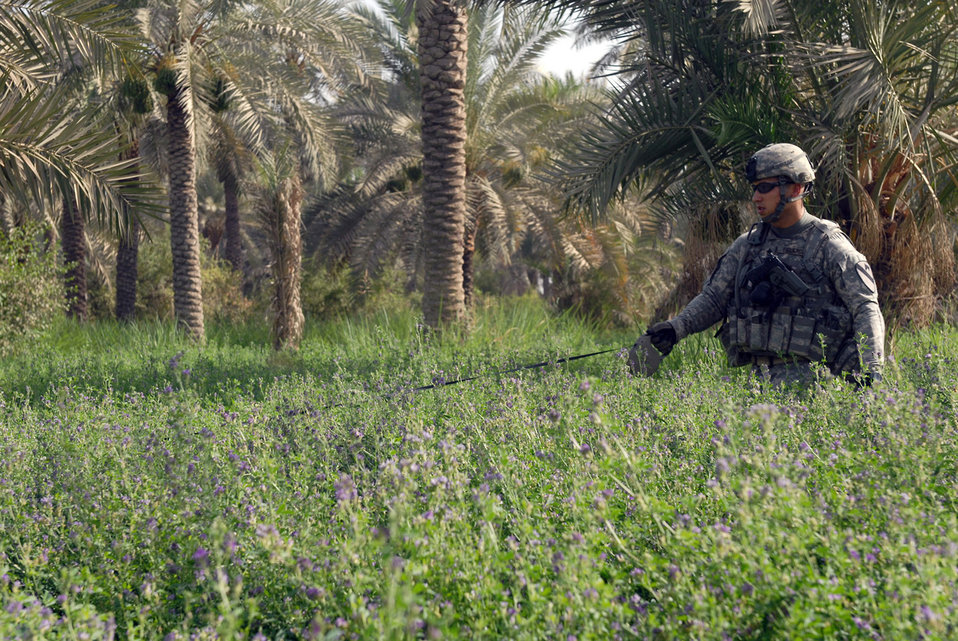 Military working dogs supplement sweep operation