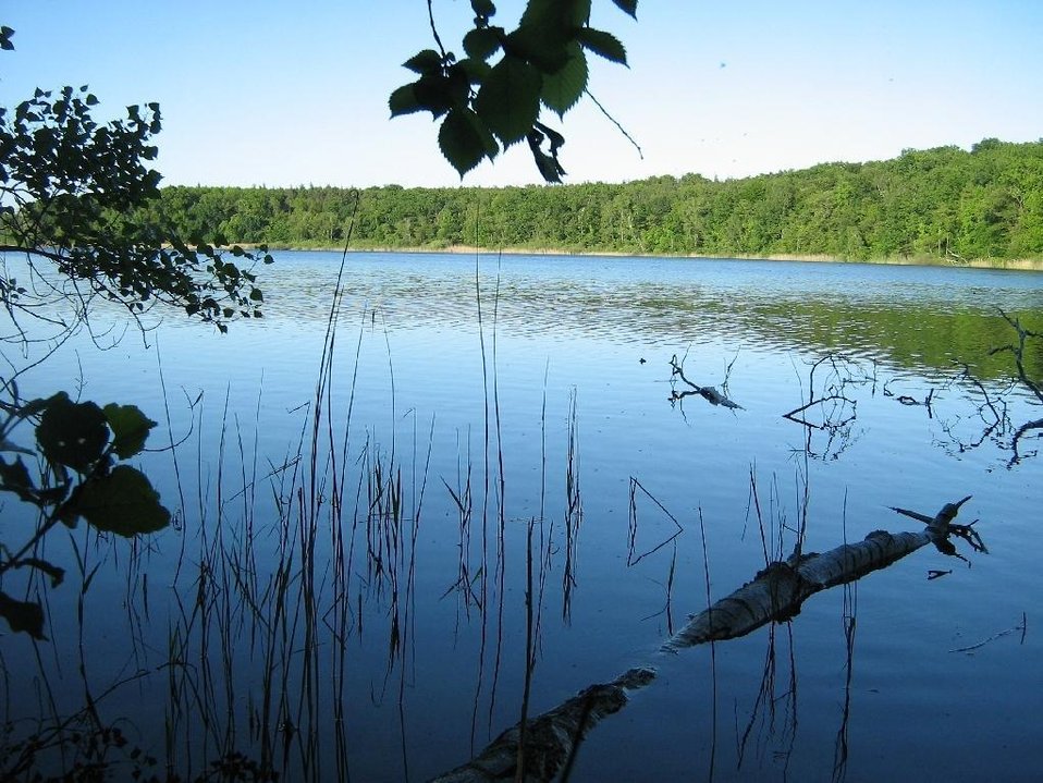 Deutsch:  der Sacrower See im Königswald bei Potsdam (Brandenburg).