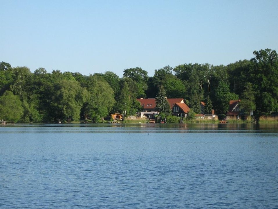 Deutsch:  der Sacrower See im Königswald bei Potsdam (Brandenburg).