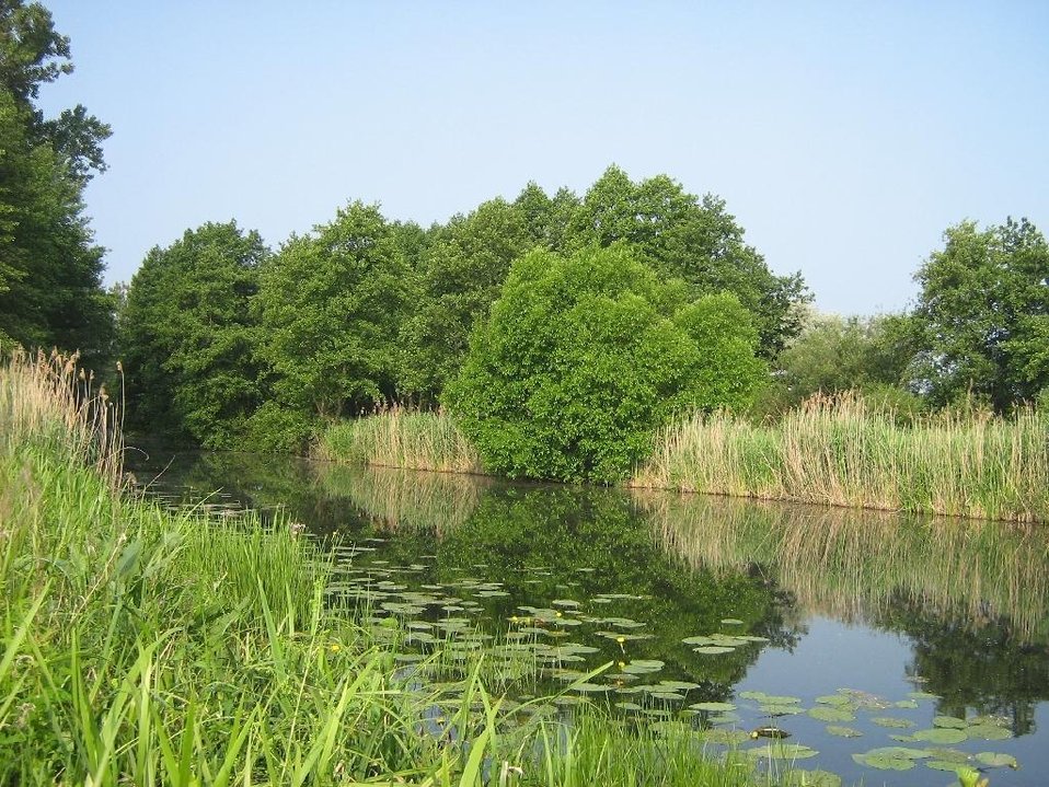 Deutsch:  Der Dahme-Umflutkanal, zwischen Leipsch und Köthener See (Landkreis Dahme-Spreewald, Brandenburg).