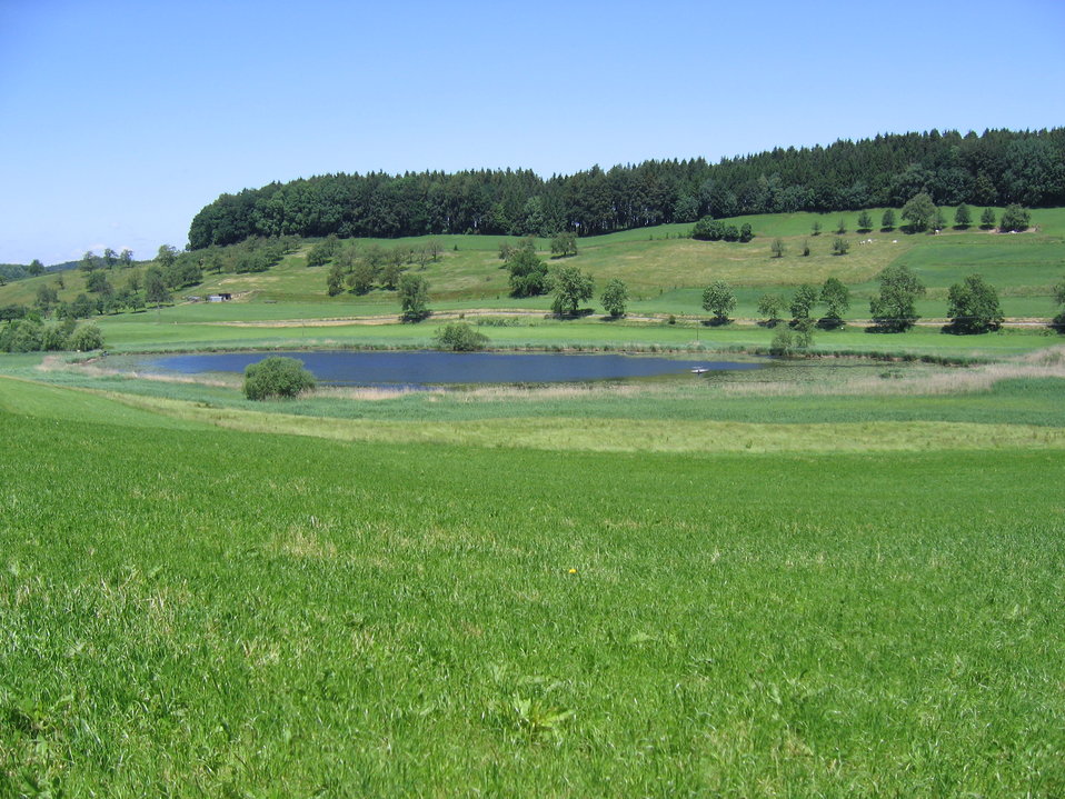 Deutsch:  Wielandsee bei Tettnang / Bodenseekreis / Baden-Württemberg / Deutschland