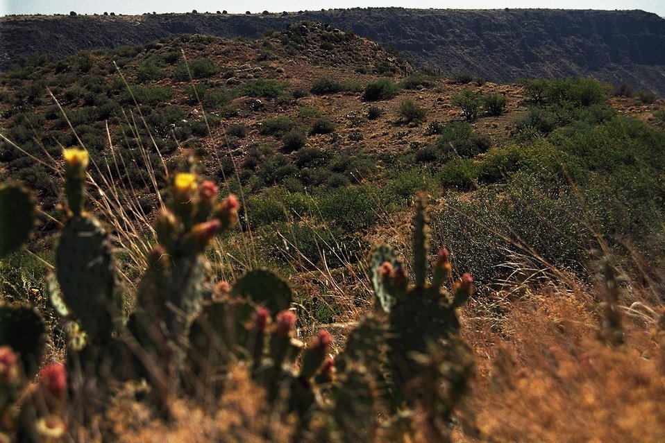 No Image Description Available