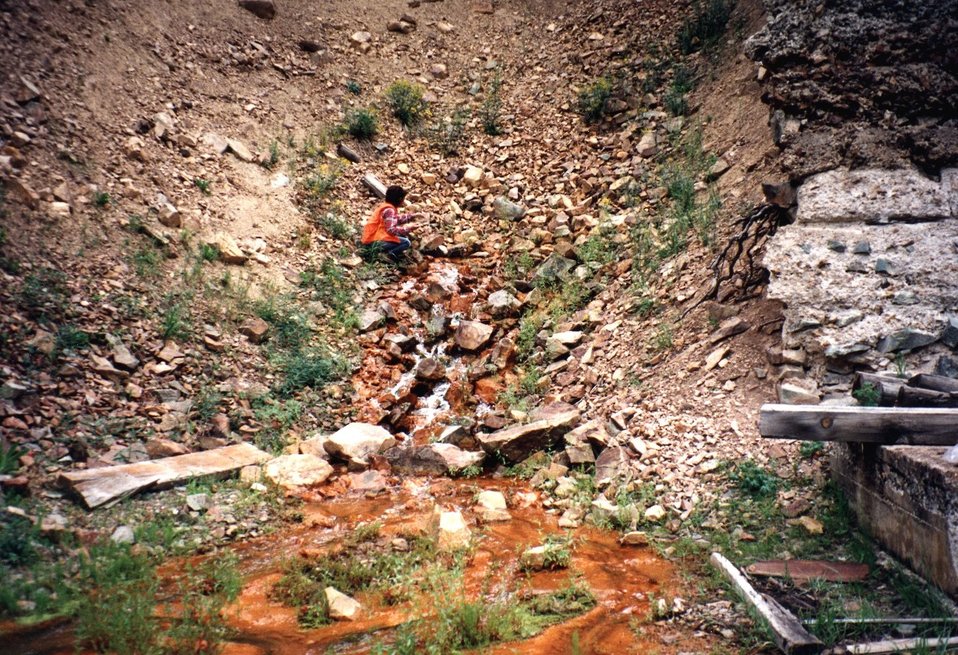 No Image Description Available