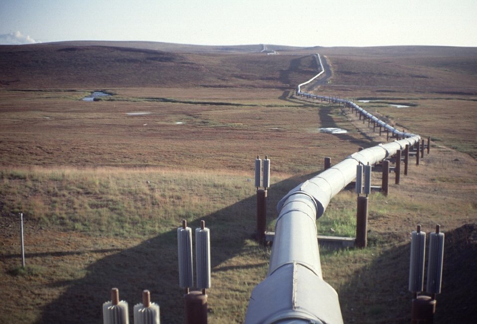 No Image Description Available