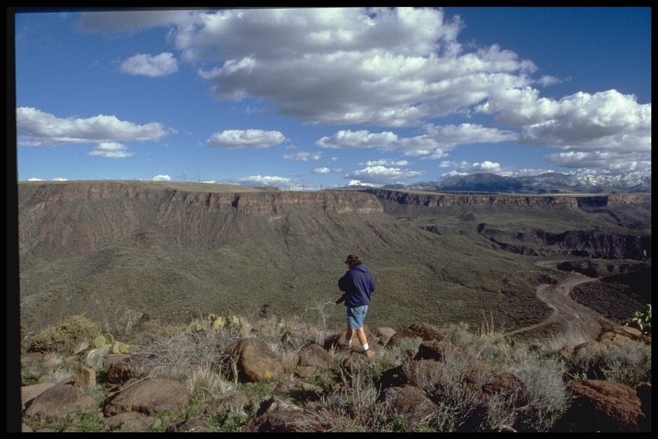 No Image Description Available