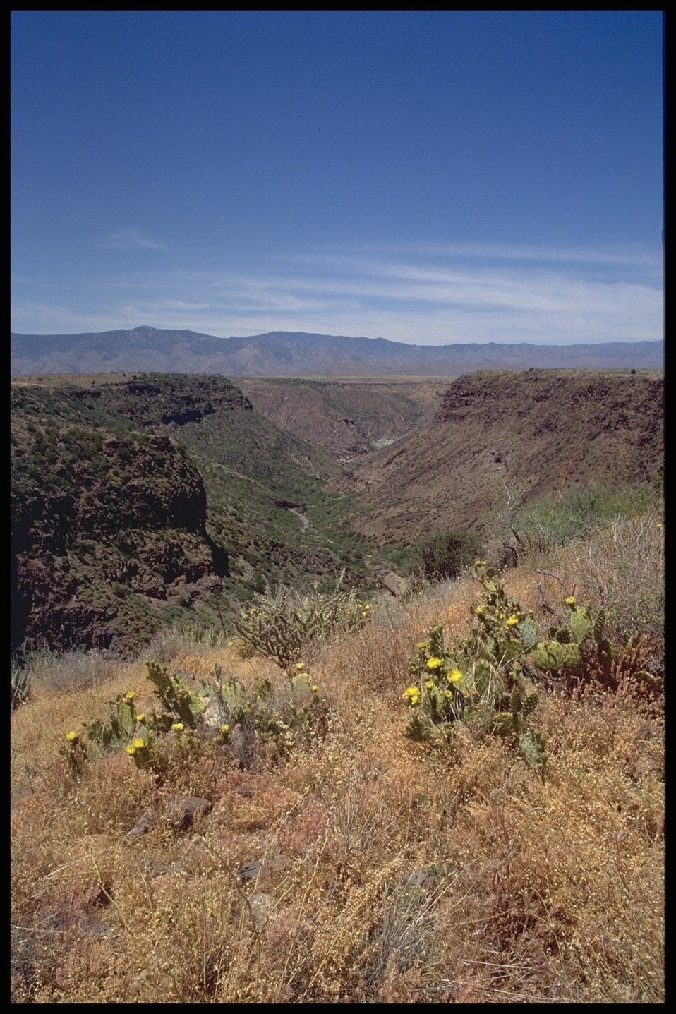 No Image Description Available