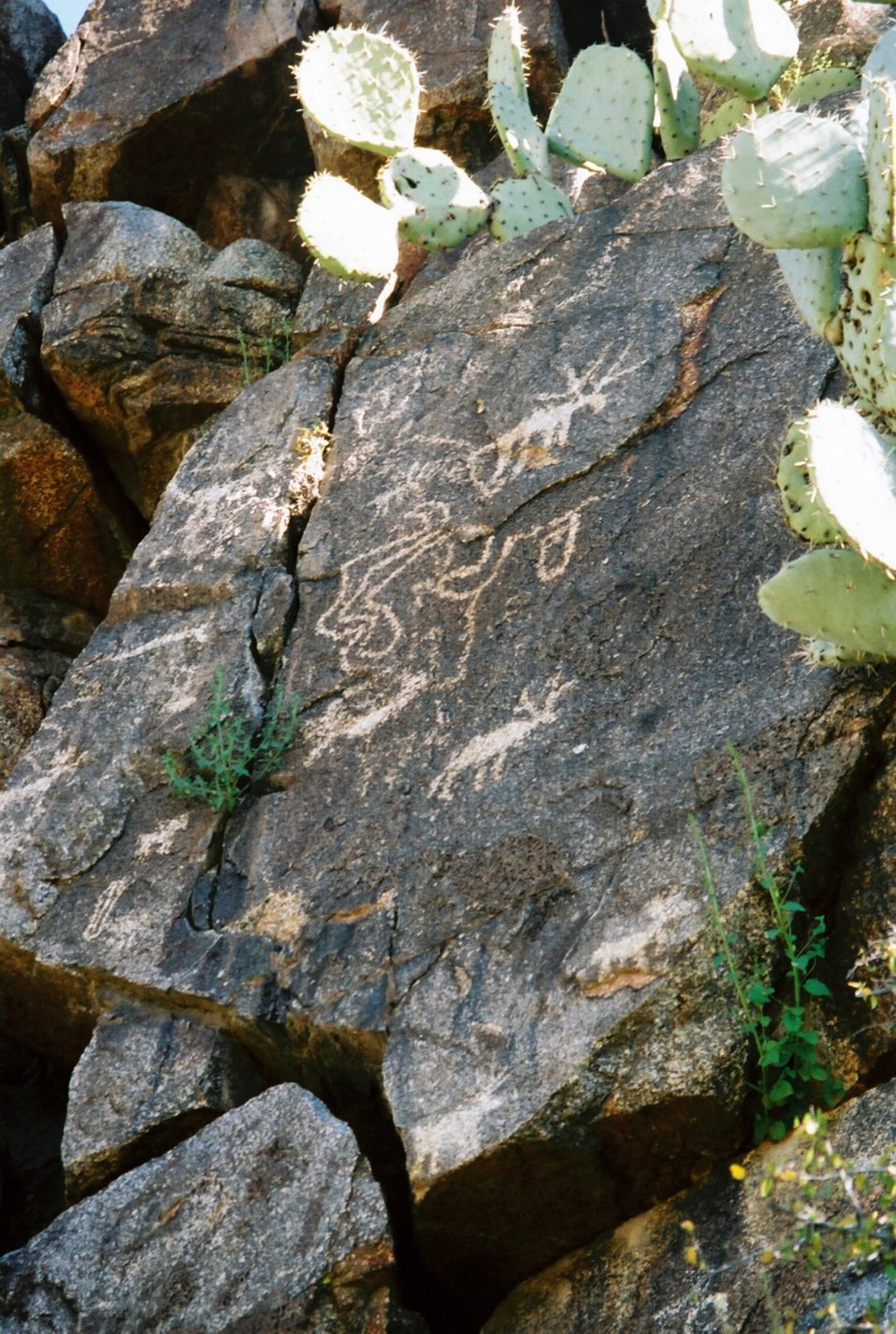 No Image Description Available