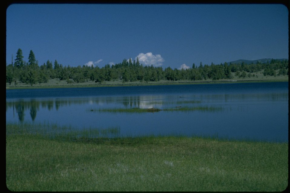 Public Domain Picture Upper Midway Reservoir along Hourse Camp Road
