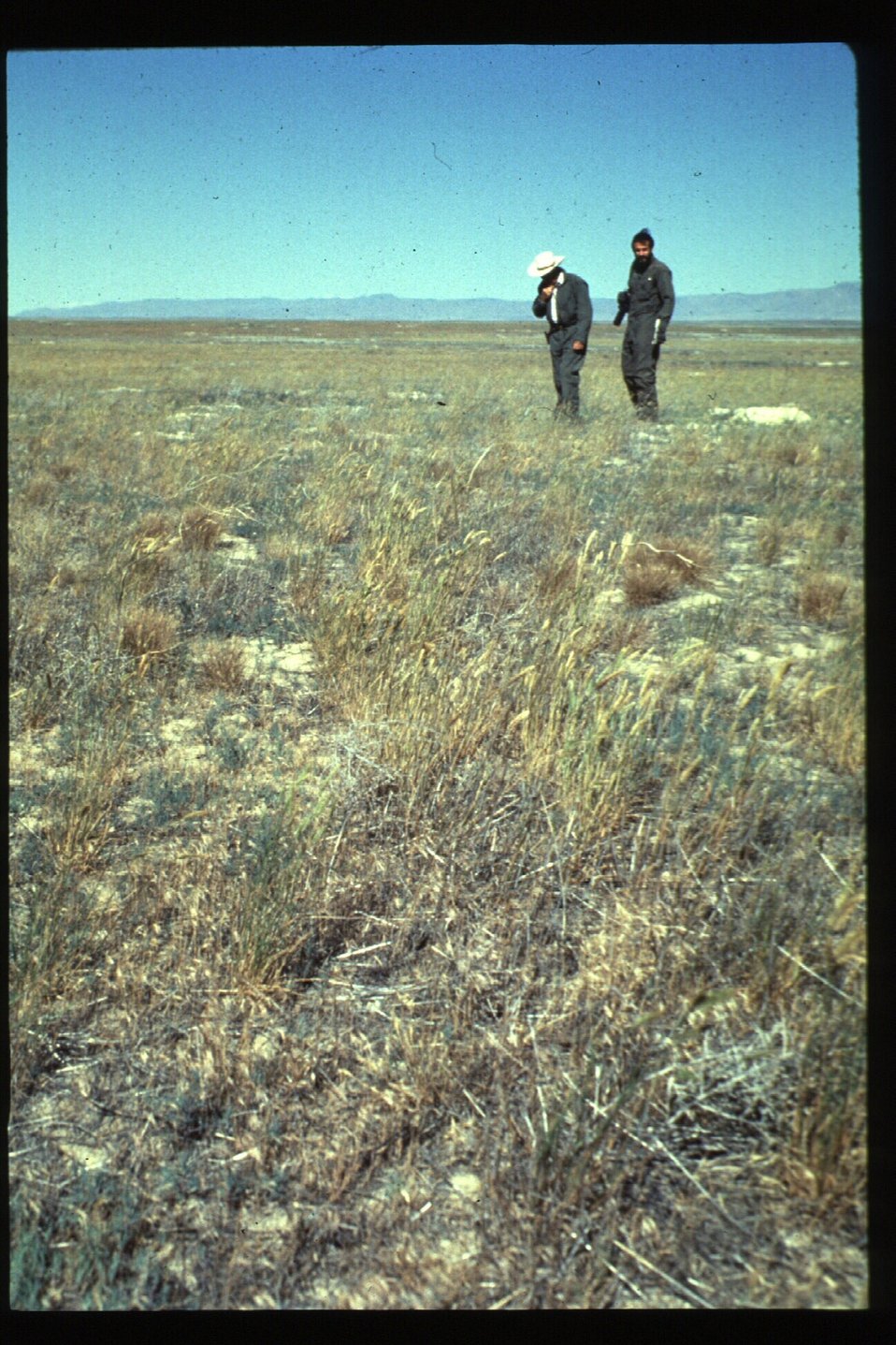 Public Domain Picture Birds of Prey National Conservation Area BOP