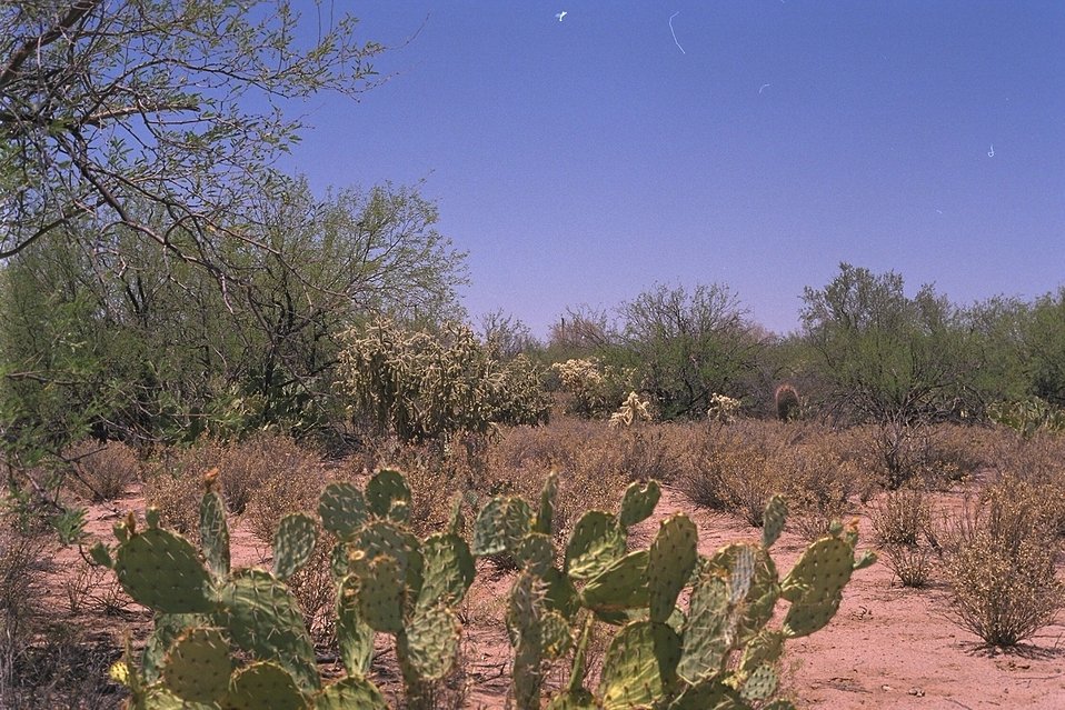 No Image Description Available