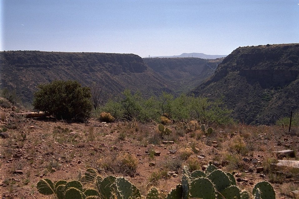 No Image Description Available