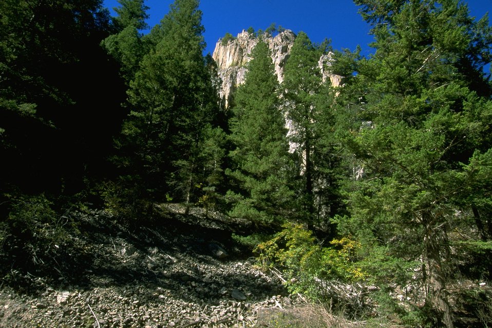 Rattler Gulch-Limestone Cliffs ACEC (area of critical environmental concern)