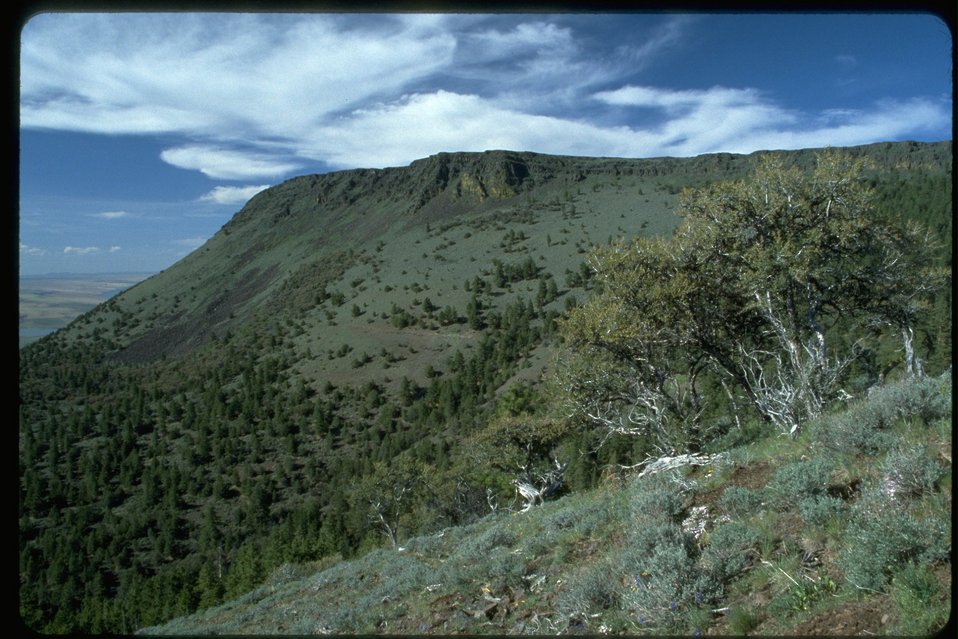 Abert Rim, view from Forest Service Hang Glider Site.