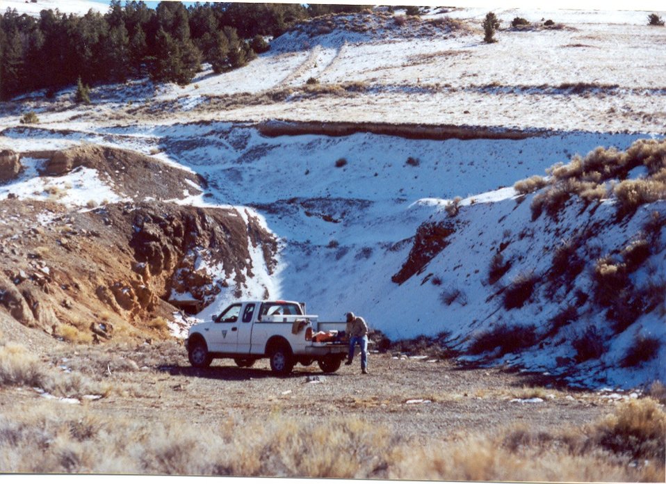 No Image Description Available