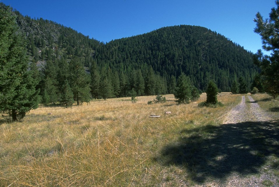 Blackfoot River ""road to the bufffalo"" non-motorized trail that follows the river