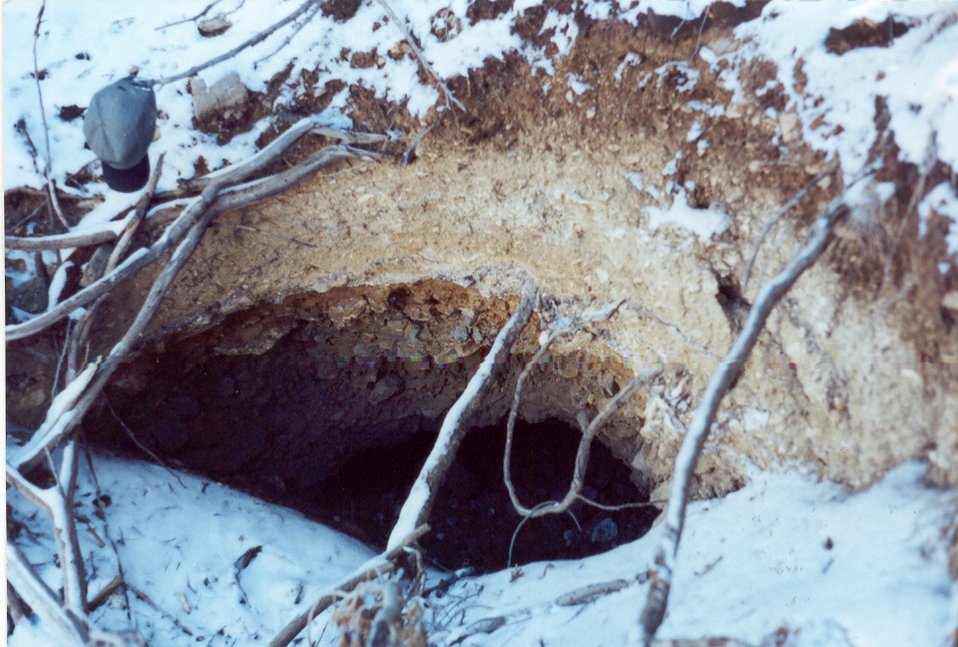 No Image Description Available