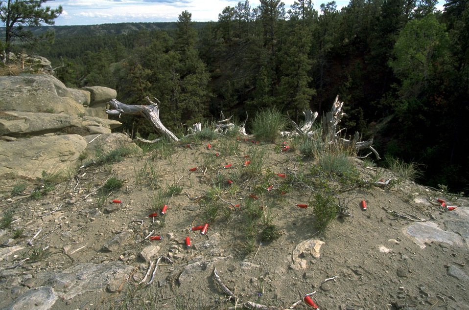Spent shotgun shells at a target shooting area in the Acton Recreation Area