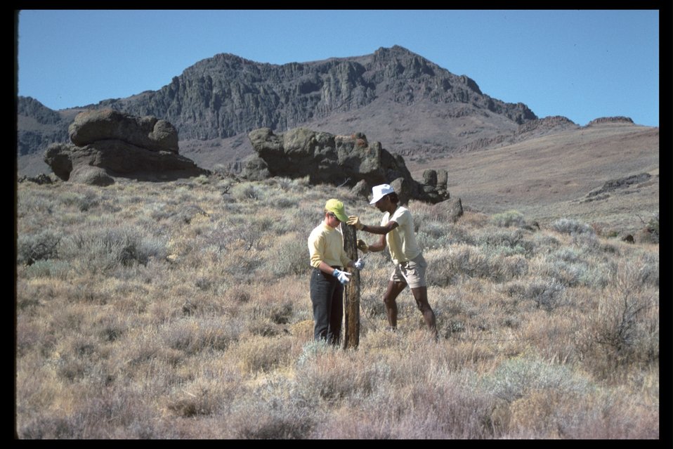 Pueblo Mountain WSA sieera club volunteers (2) remove fence.  (WSA 2-81)