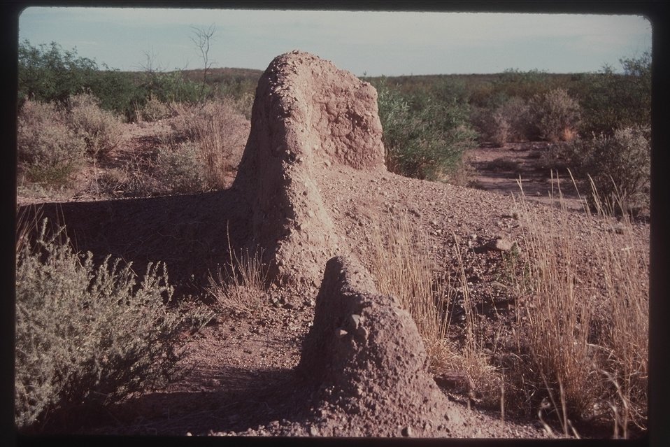 Either odd rock formations or some kind of ruins in the San Pedro Riparian National Conservation Area.