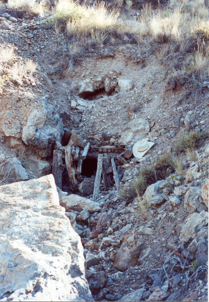 No Image Description Available