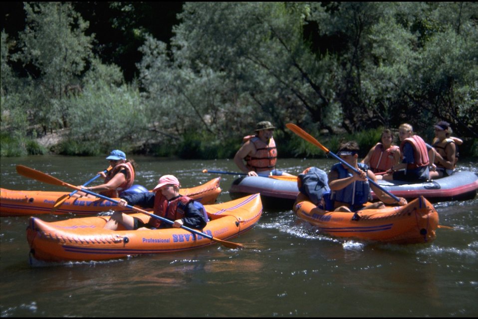 No Image Description Available