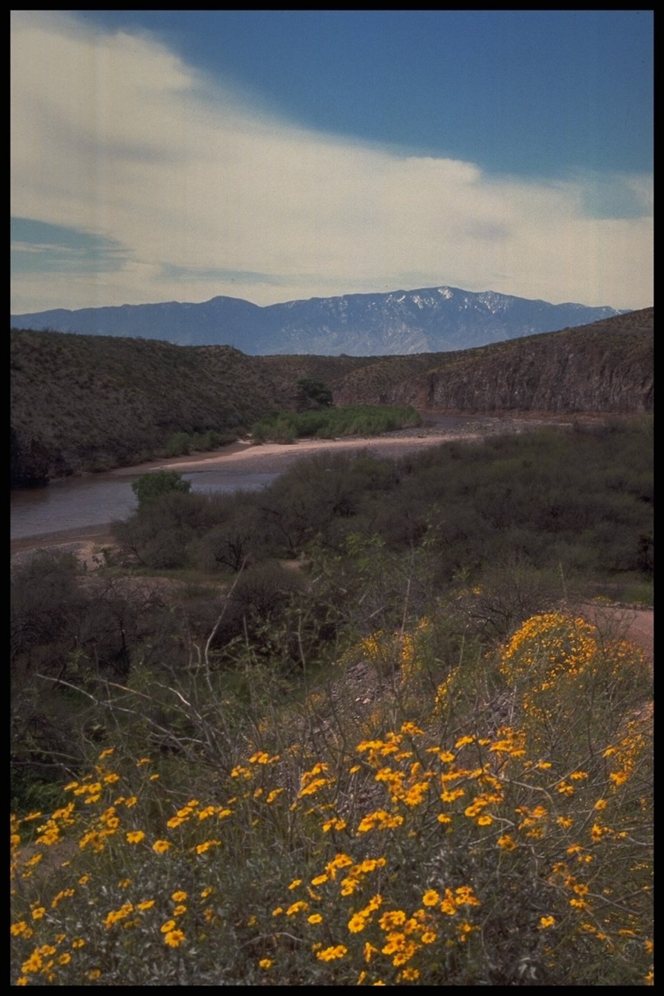 A 15-mile segment of Bonita Creek is part of a special area designated by Congress. Along with 23 miles of the Gila River, this creek is part of the Gila Box Riparian National Conservation Area.