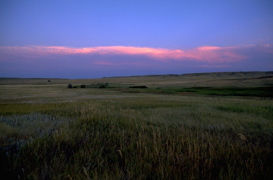 Spring Creek riparian area, northern Fort Meade, SD