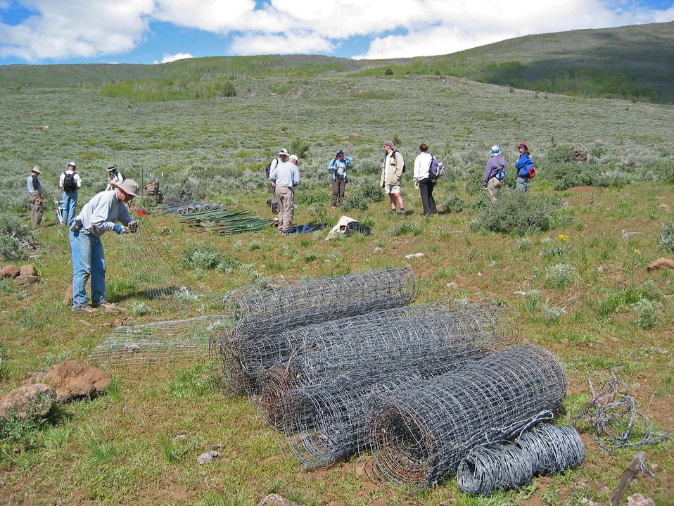 Volunteers work with BLM to remove over a 100 miles of old fence.  
