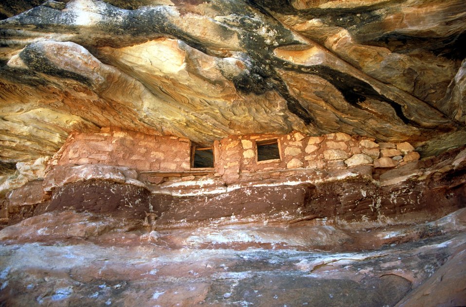 No Image Description Available