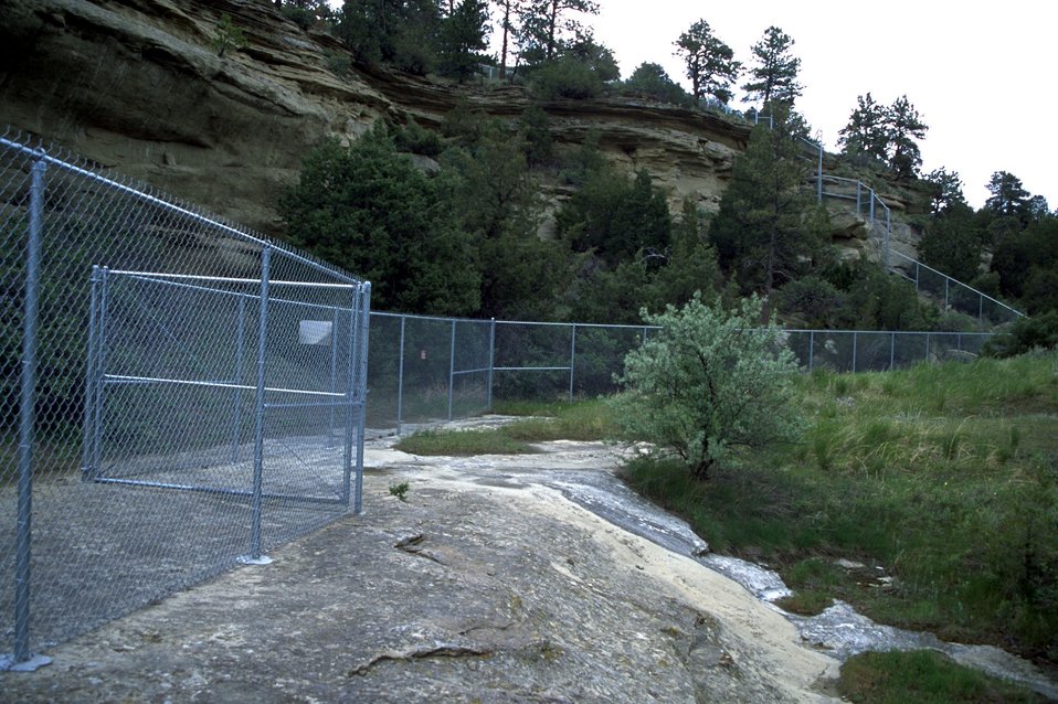 The deer exclusion fence on the Vince Larsen property