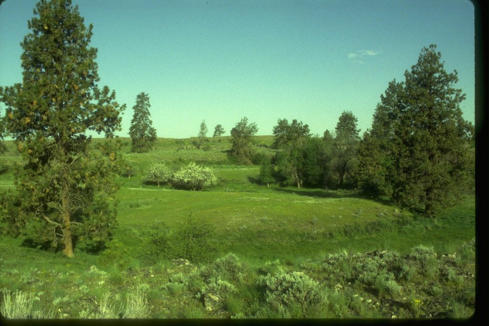 Fishtrap Management Area, Lincoln County, Washington  