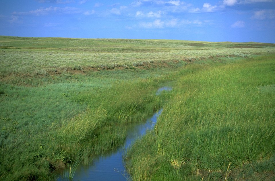 Public Domain Picture Alkali Creek 40 miles north of Belle Forche