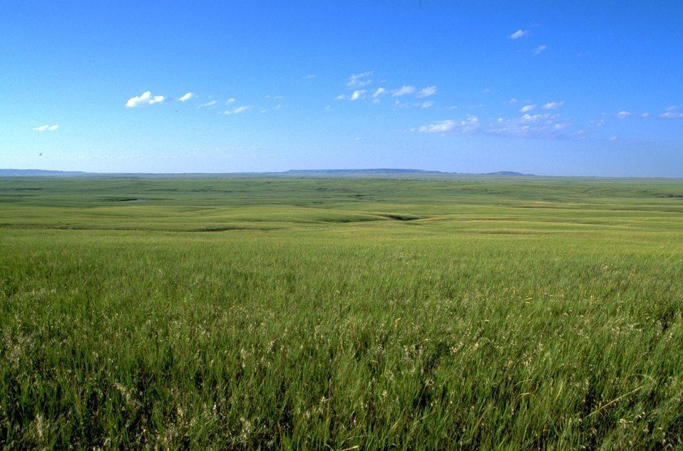 Grassland Vista