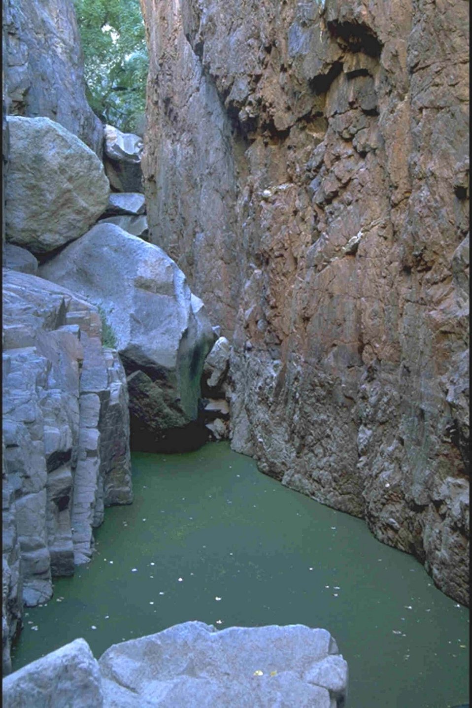 A pool in Hells Half Acre Canyon.