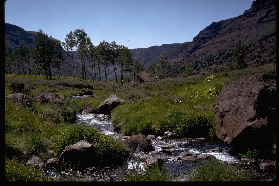 Public Domain Picture Big Indian Creek at the base of Big Indian