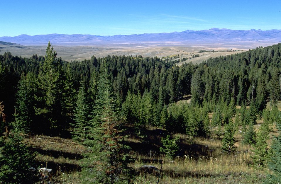 View of Centennail Valley from the Centennial Mountains