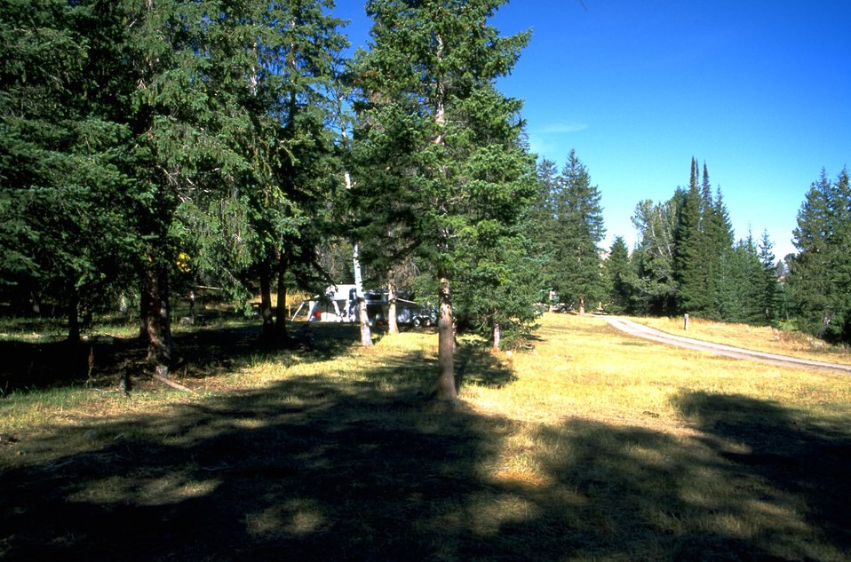 Camp in the Centennial Mountains