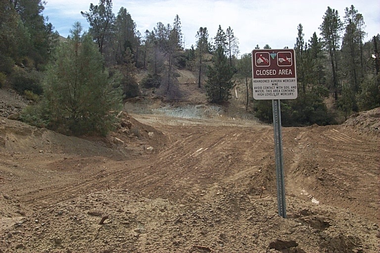 No Image Description Available