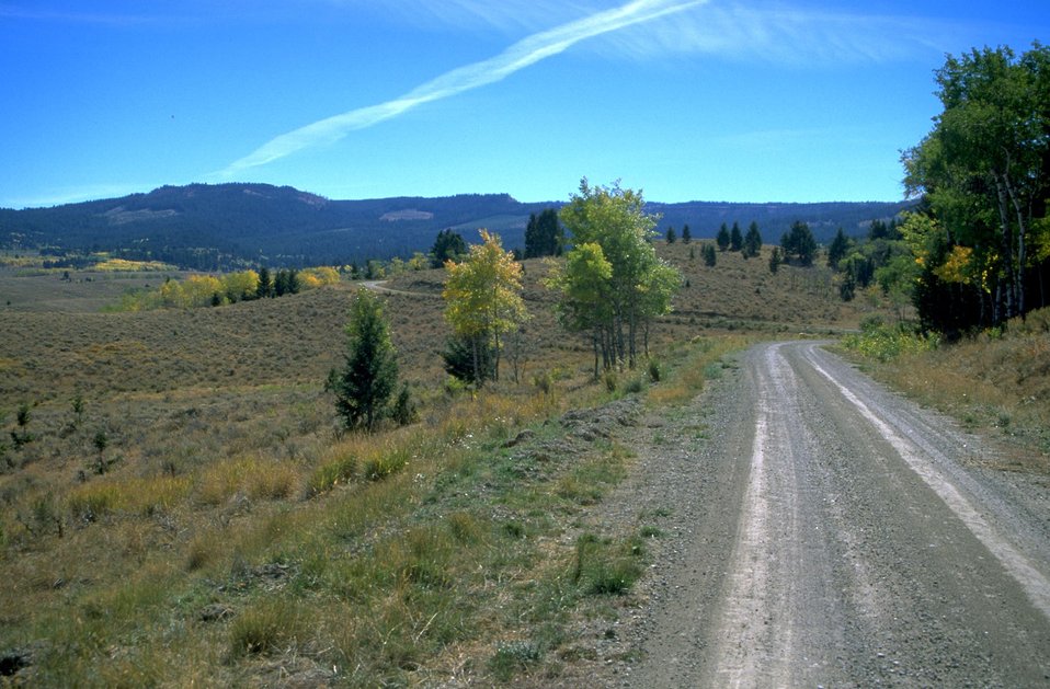 Public Domain Picture East Fork Blacktail road going through