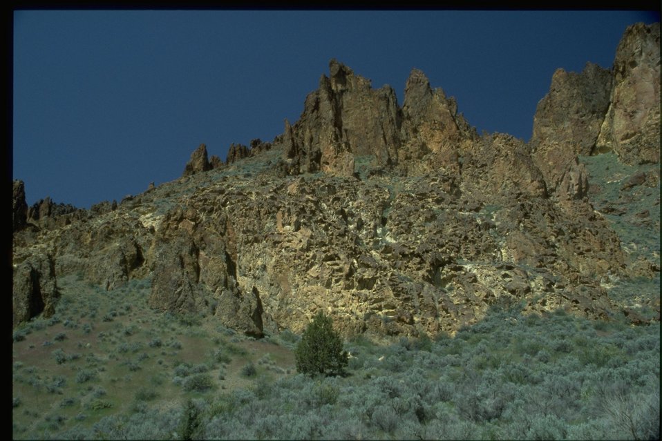 No Image Description Available