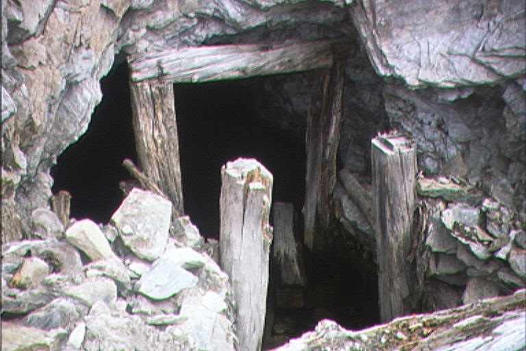 No Image Description Available