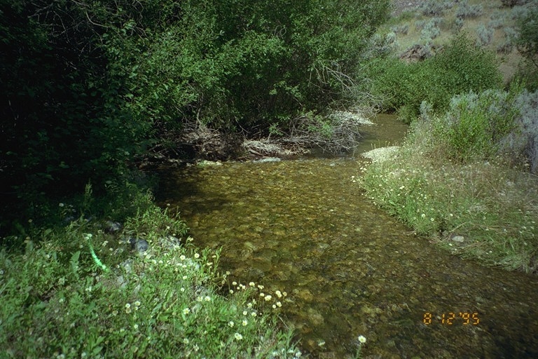 Riparian area  Public Lands  Salmon Field Office  UCSC  Upper Columbia Salmon Clearwater District