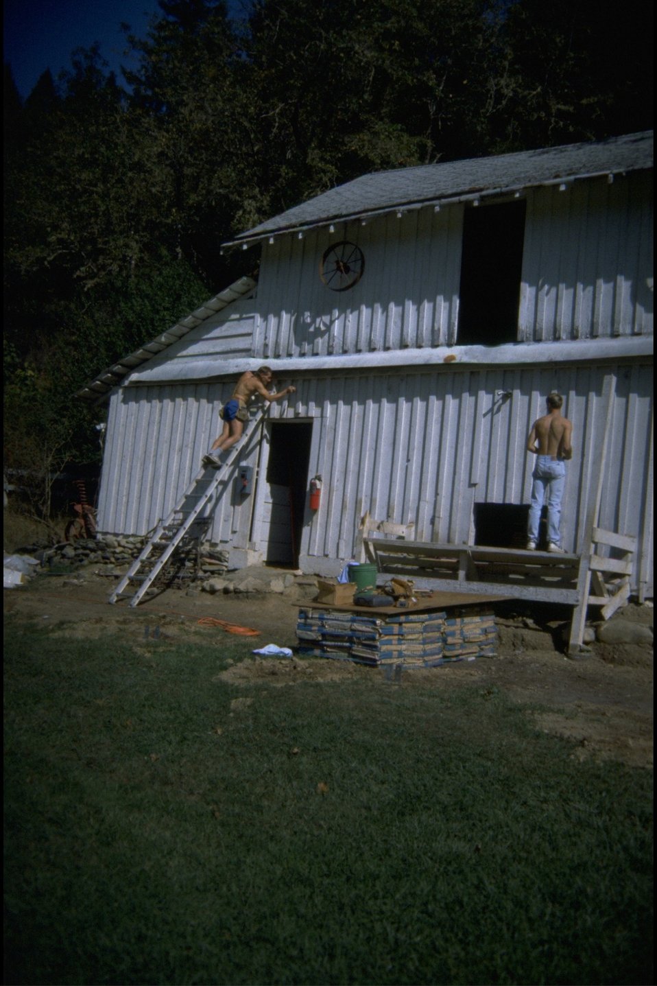 No Image Description Available