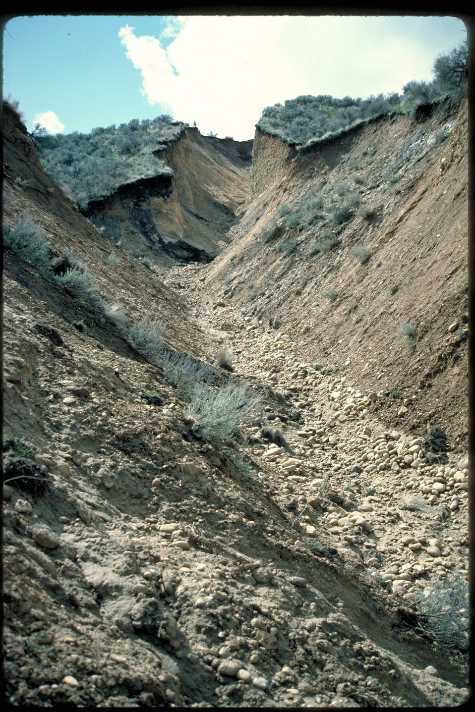 Little Gulch erosion  Boise Front  Four Rivers Field Office  LSRD  Lower Snake River District  